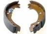 Kit mâchoire de frein Brake Shoe Set:1 041 484