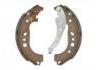 Brake Shoe Set Brake Shoe Set:44 0A 080 42R