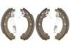 Bremsbackensatz Brake Shoe Set:291 698 527 BX