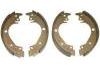 刹车蹄片 Brake Shoe Set:4241.1N