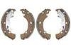 Brake Shoe Set:77362449